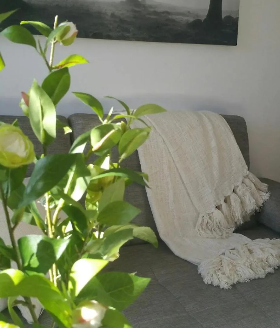 Apartment Liberty Sti 1Br Apt Wfi Ac King Bed A3 Santiago De Los Caballeros Dominican Republic